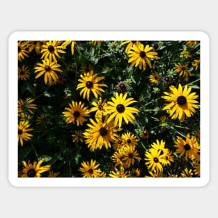 Yellow sunflower design Sticker